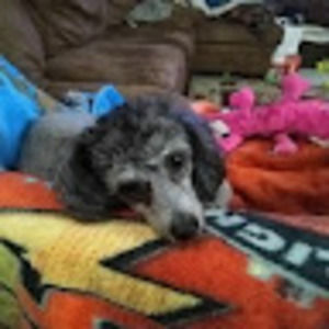 Meet your Posher, Gary